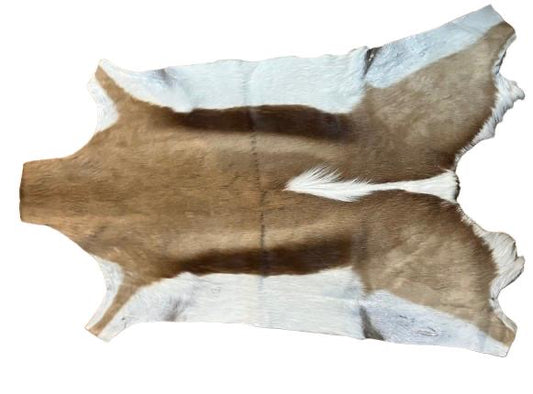 Gemsbok Hide Rug 90x60