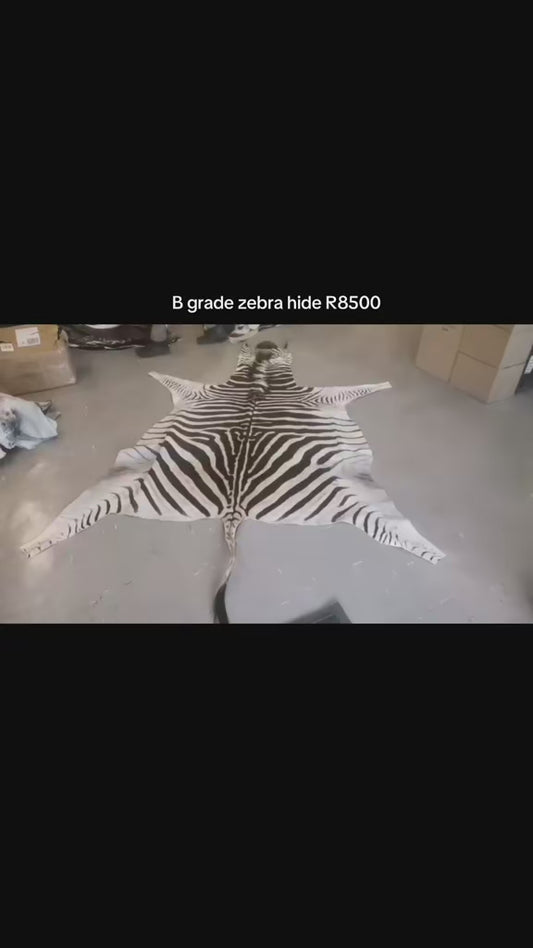 Zebra Hide